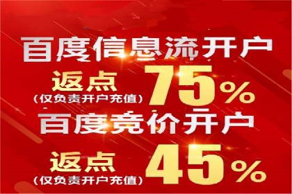 百度推广公司案例研究：揭秘电商行业爆款打造秘诀